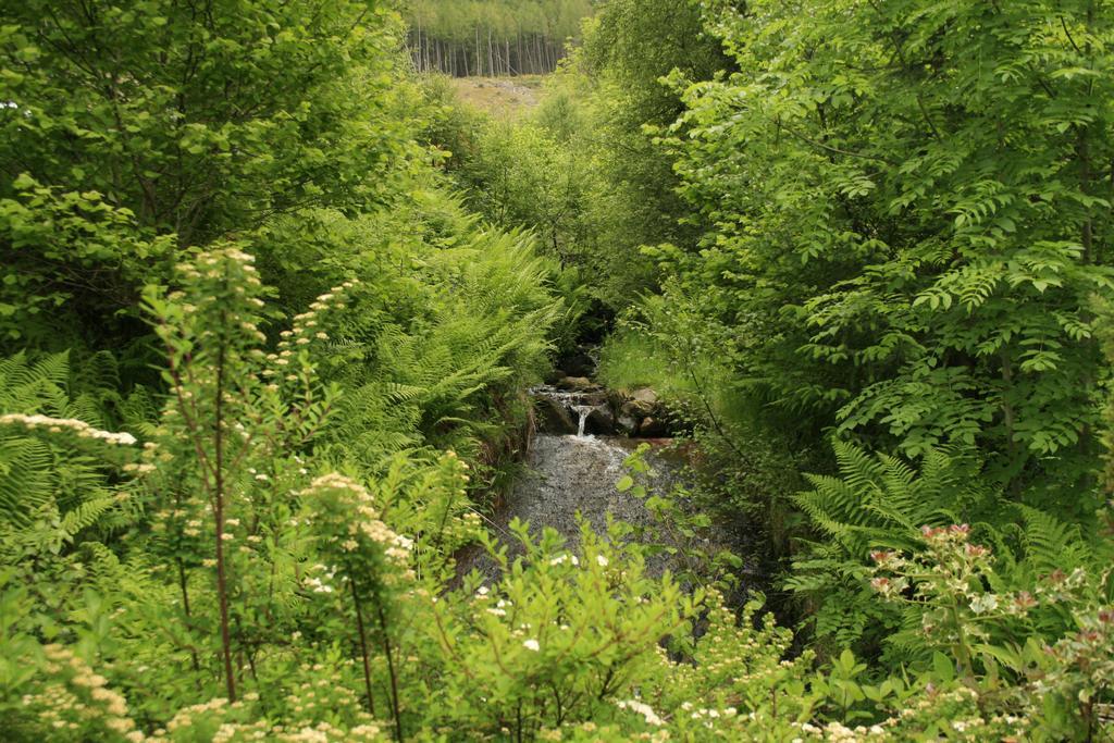 Balquhidder Braes Holiday Park Lodges, Mostly With Hot Tubs And Pet Friendly, Ev Facilities Лохернхед Экстерьер фото